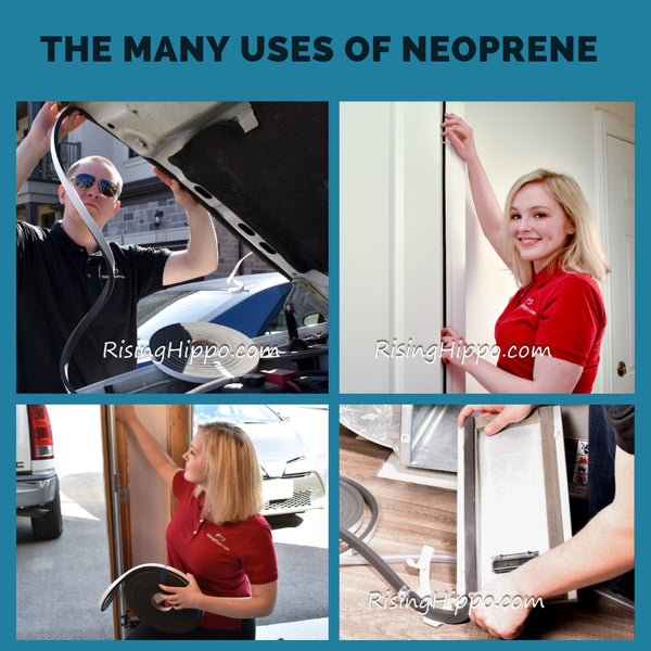 The Essential Guide to Neoprene