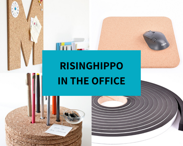 RisingHippo in the Office!