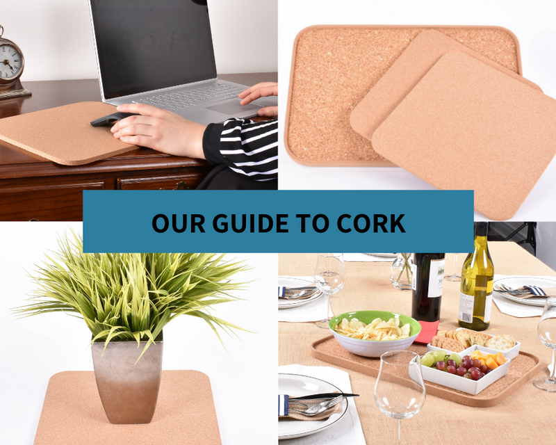 Our Comprehenive Guide on Cork